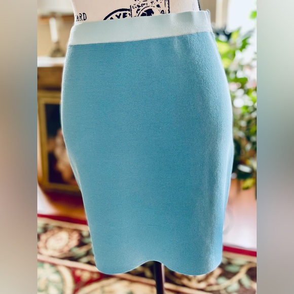 “HOUSE OF HARLOW 1960” BLUE SKIRT SIZE S  NWT - Picture 3 of 7